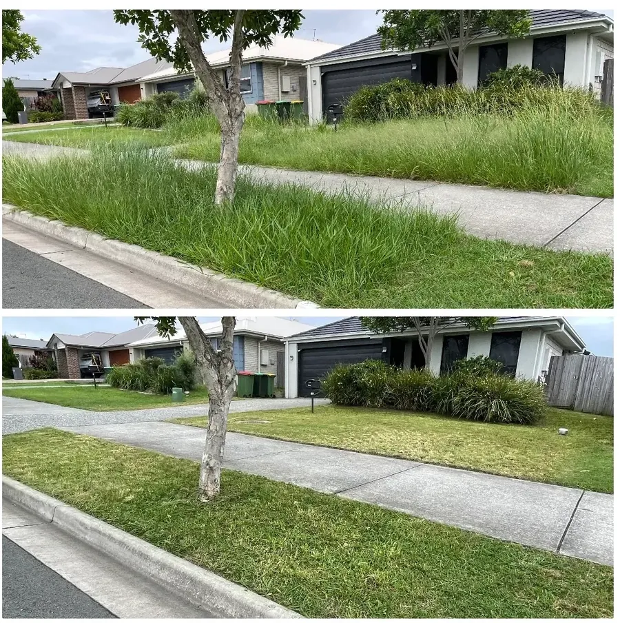 Before and after: an overgrown yard brought back — odd jobs and yard clean-ups, Northern Gold Coast