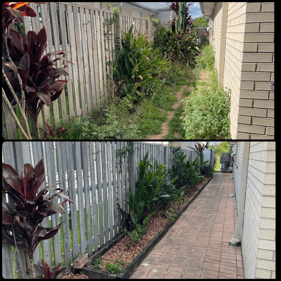 Before and after: side path weeded, bed mulched and pavers cleared — garden clean-up and green waste removal Northern Gold Coast